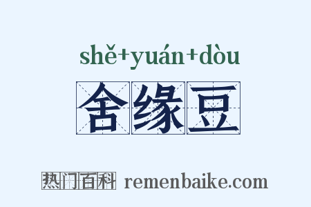 舍缘豆是什么意思的图片